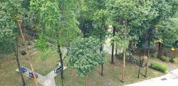 Blk 540 Panshan Grove (Bukit Panjang), HDB 5 Rooms #550407911